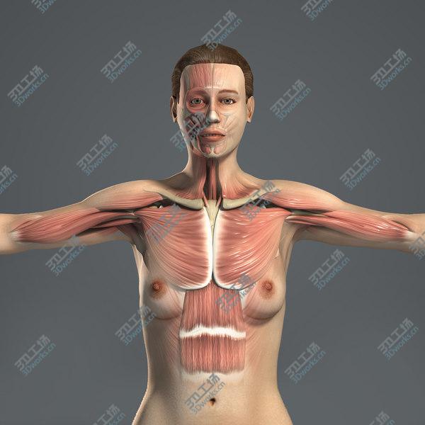 images/goods_img/20210312/3D MAYA RIGGED Female Body, Muscular & Skeletal Systems Anatomy 3D Model/1.jpg